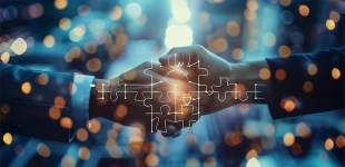 Strategic Partners